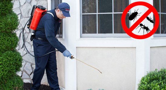 Döşemealtı Böcek İlaçlama böcek ilaçlama ve haşere kontrolü — ilaclama-tr.com